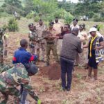 Tree planting, Natures Guardians