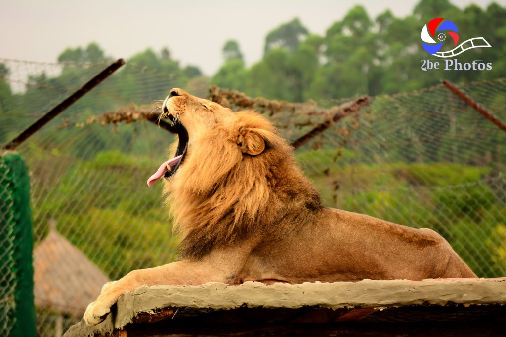 Kitale Nature Conservancy | Western Wildlife Conservancies Association